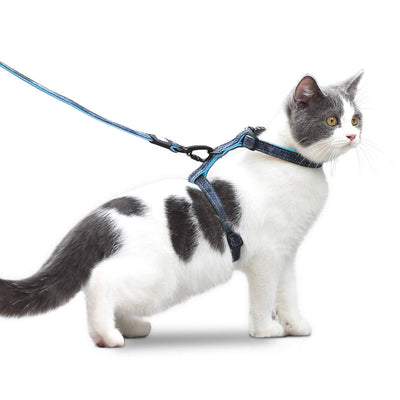Cat's Leashes and Collar