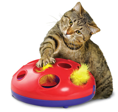 Cat Toys