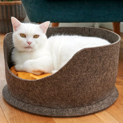 Cat Beds