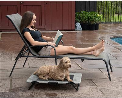 Harbor Grey Pet Cots