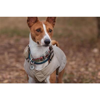 Pro Smart Pet Tag