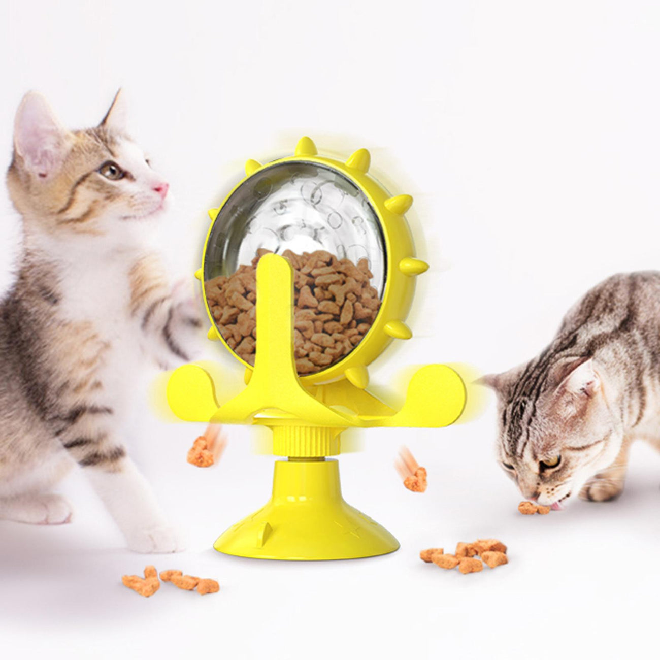 Cats Grooming and Accessories