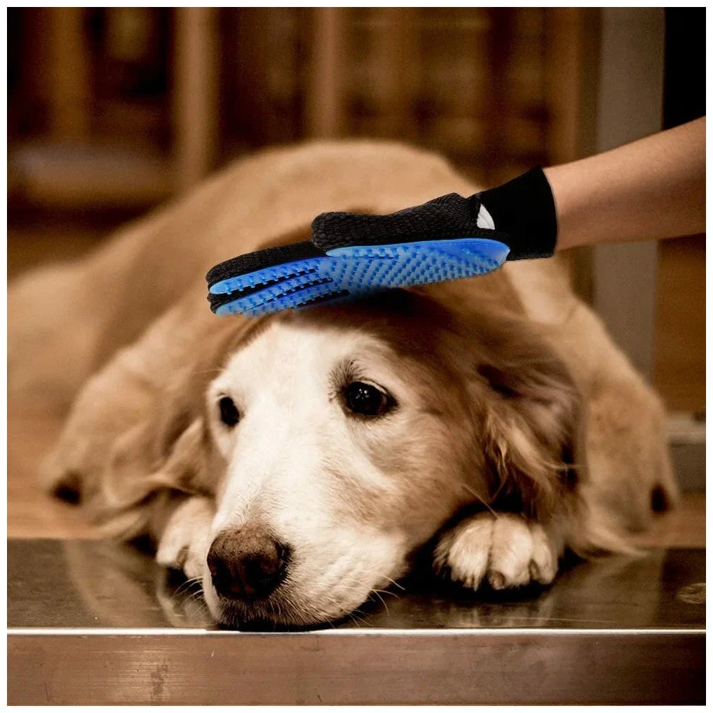 Grooming Products