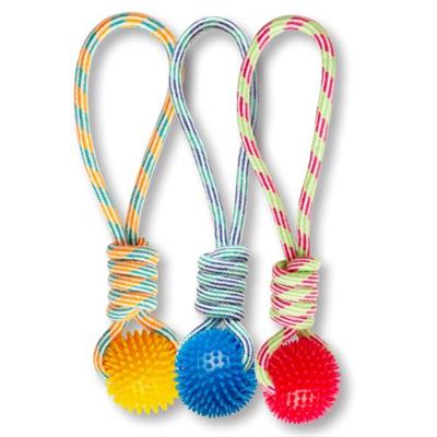 Dog Toys & Chews