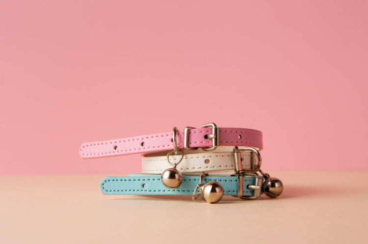 Dog's Collar and Leashes