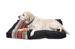 Acadia National Park Dogs Bed