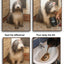Paw Plunger
