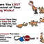 Dog Leashes