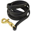 BIOTHANE LEASH (3/4")