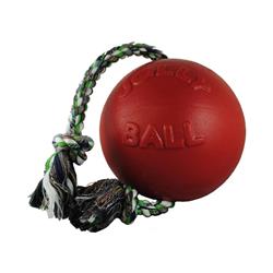 Jolly Pets Romp N Roll Ball 
