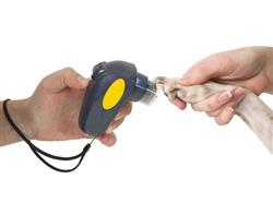 Jw Pet Palm Nail Grinder For Dogs