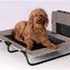 Harbor Grey Pet Cots