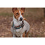 Pro Smart Pet Tag